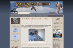 FalconCam Project